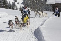 Kandersteg 2013